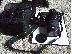 PoulaTo: Nikon D80 10.2 MP ψηφιακή φωτογραφική μηχανή SLR - Μαύρο (Kit w / φακό 18-135mm)....